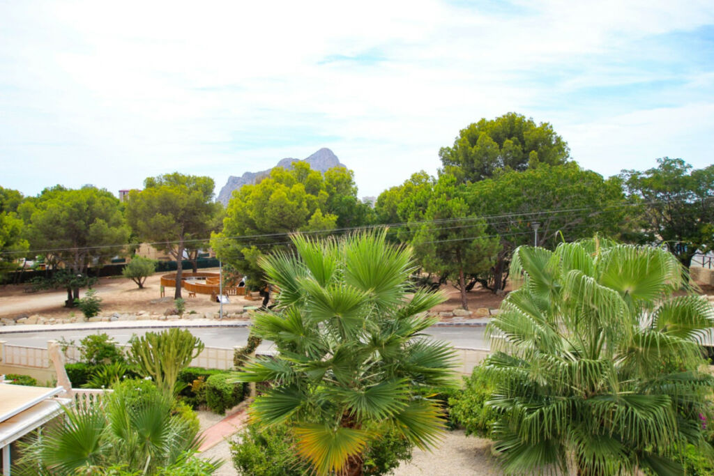 Detached Villa Calpe Alicante - image 28
