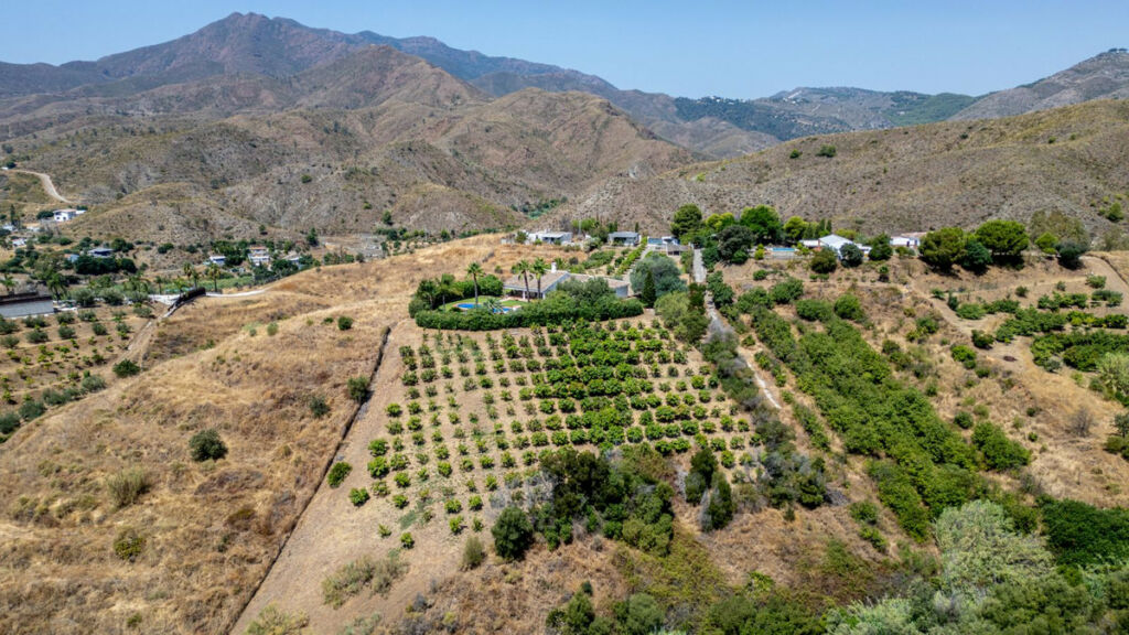 Detached Villa Mijas Málaga - image 28