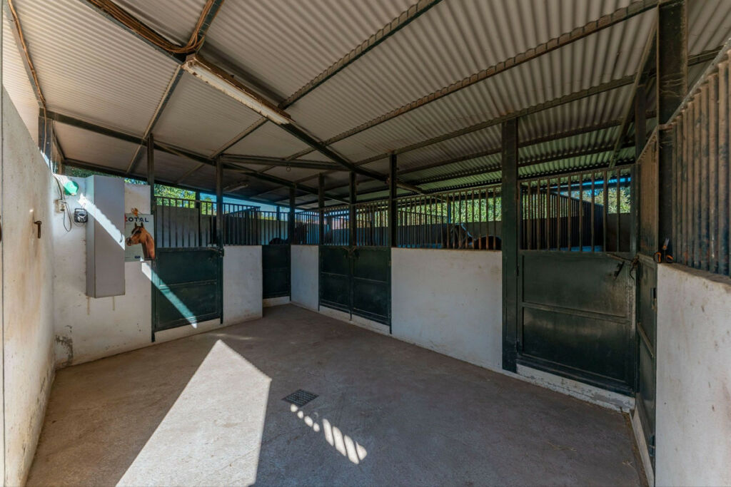 Detached Villa Coín Málaga - image 28