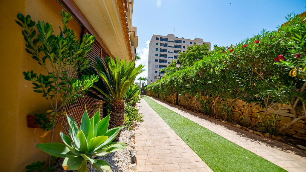 Middle Floor Apartment Punta Prima Alicante - image 28