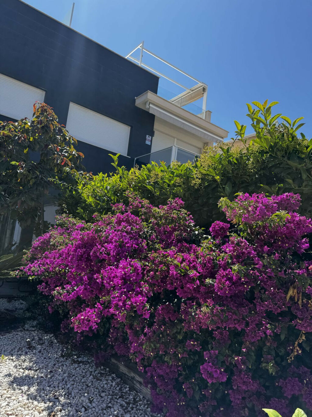 Ground Floor Apartment Torrevieja Alicante - image 28