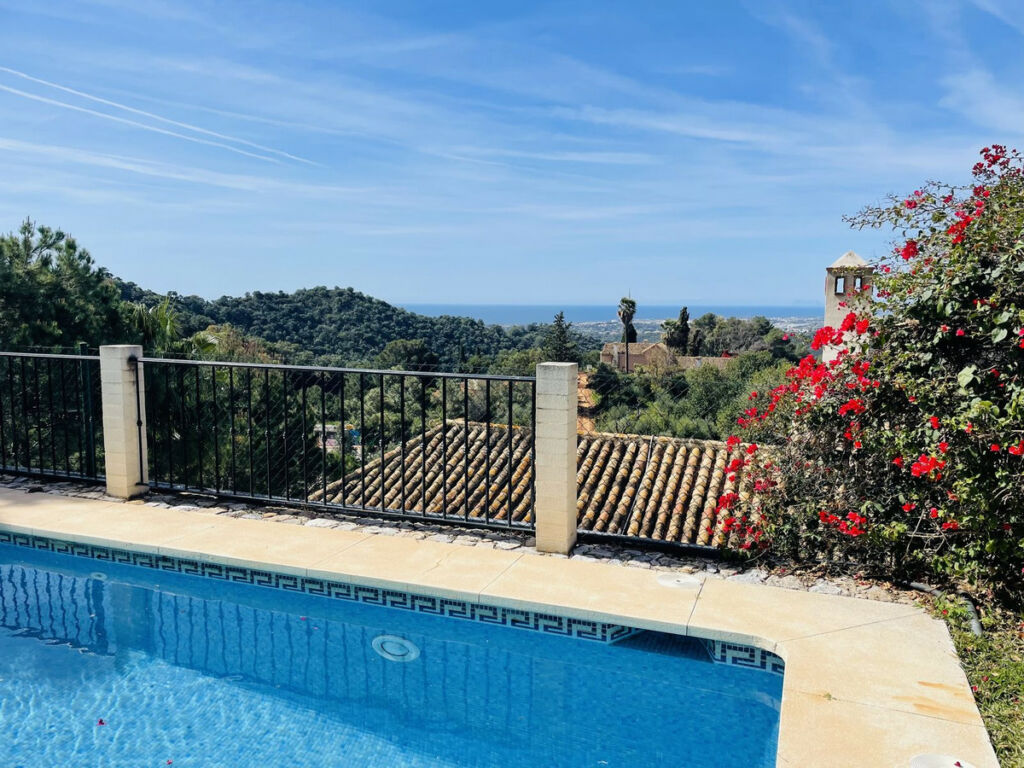 Detached Villa Istán Málaga - image 28