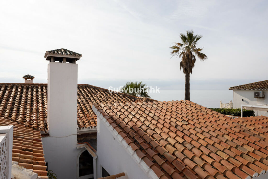 Detached Villa El Chaparral Málaga - image 28