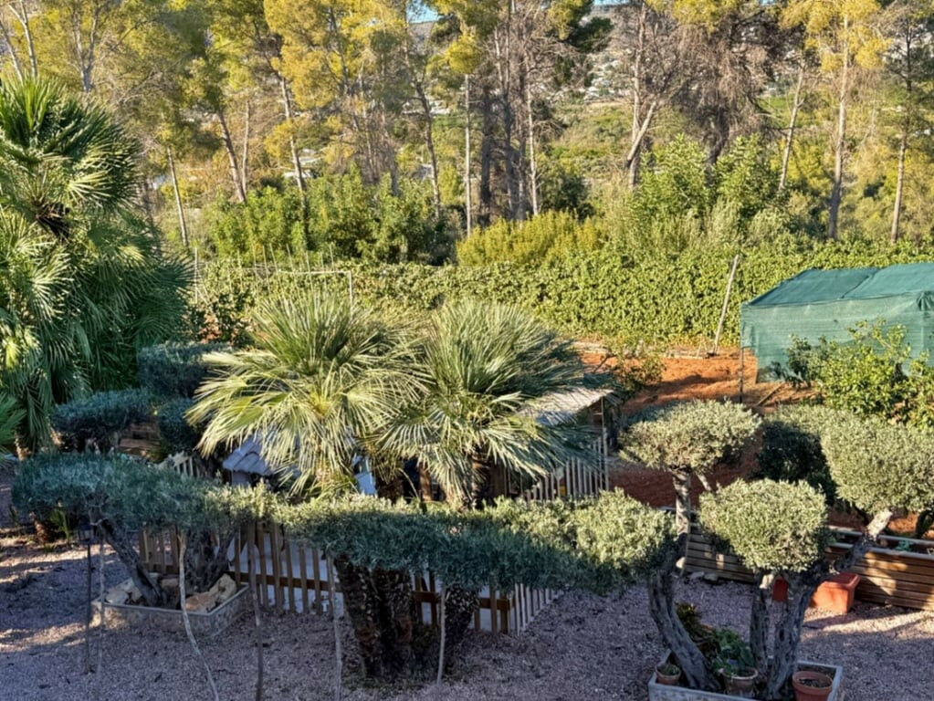 Detached Villa Javea Alicante - image 29