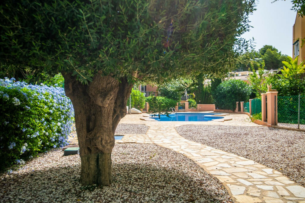Detached Villa Torrevieja Alicante - image 29