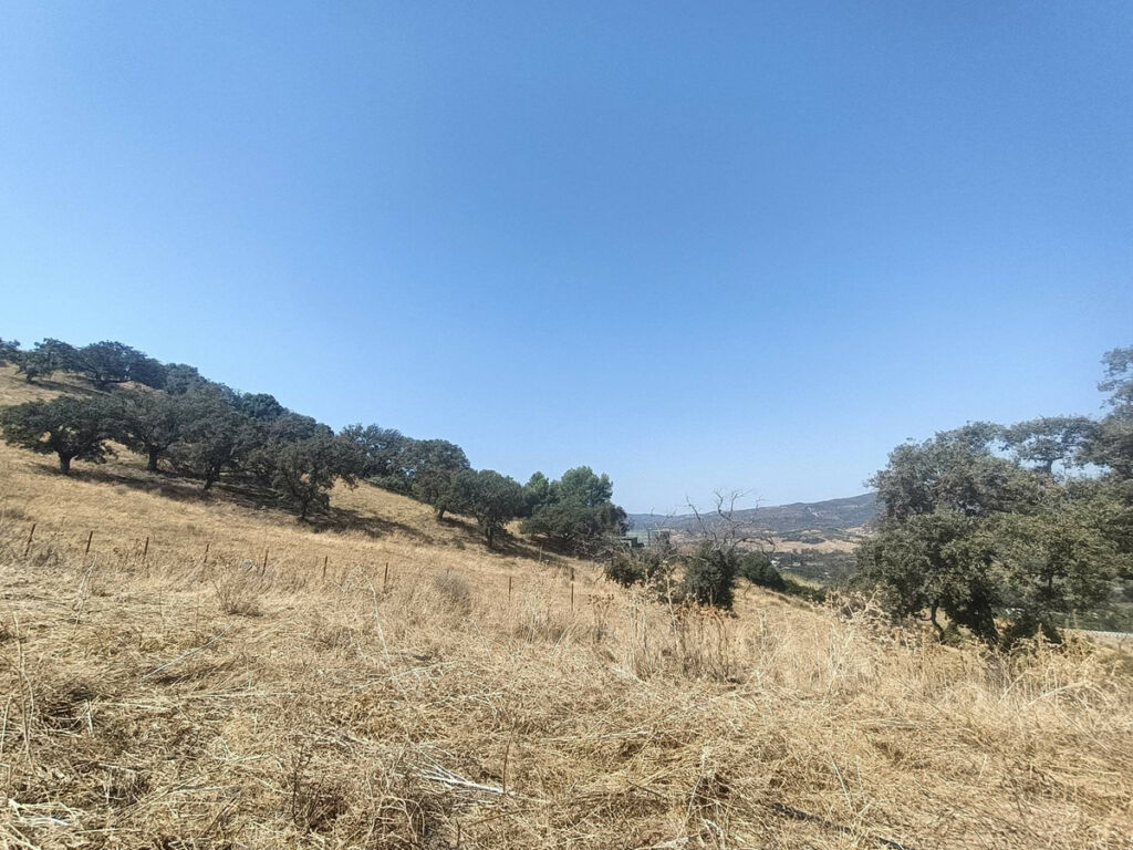 Farm Gaucín Málaga - image 24
