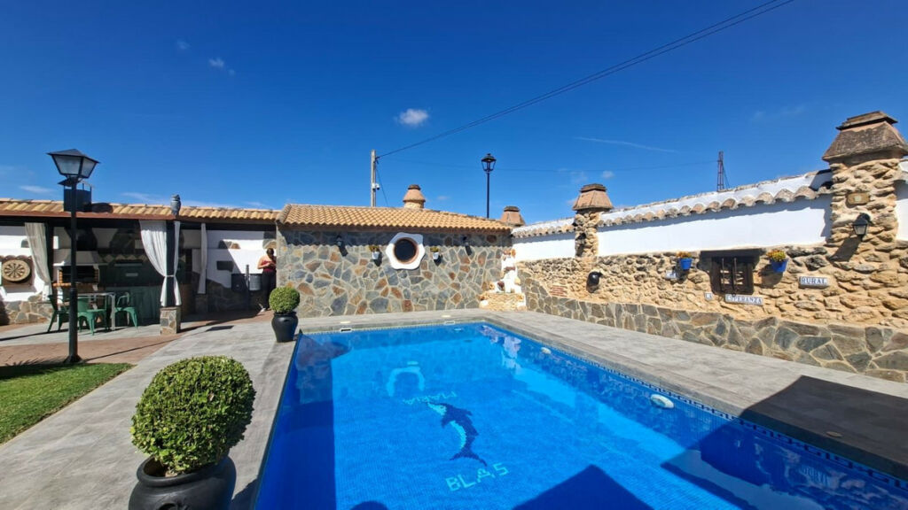 Detached Villa Arriate Málaga - image 29