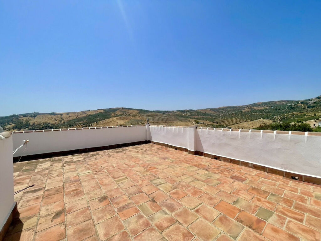 Detached Villa Periana Málaga - image 29