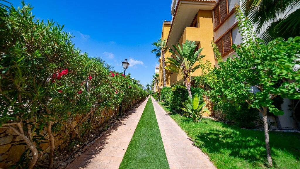 Middle Floor Apartment Punta Prima Alicante - image 29
