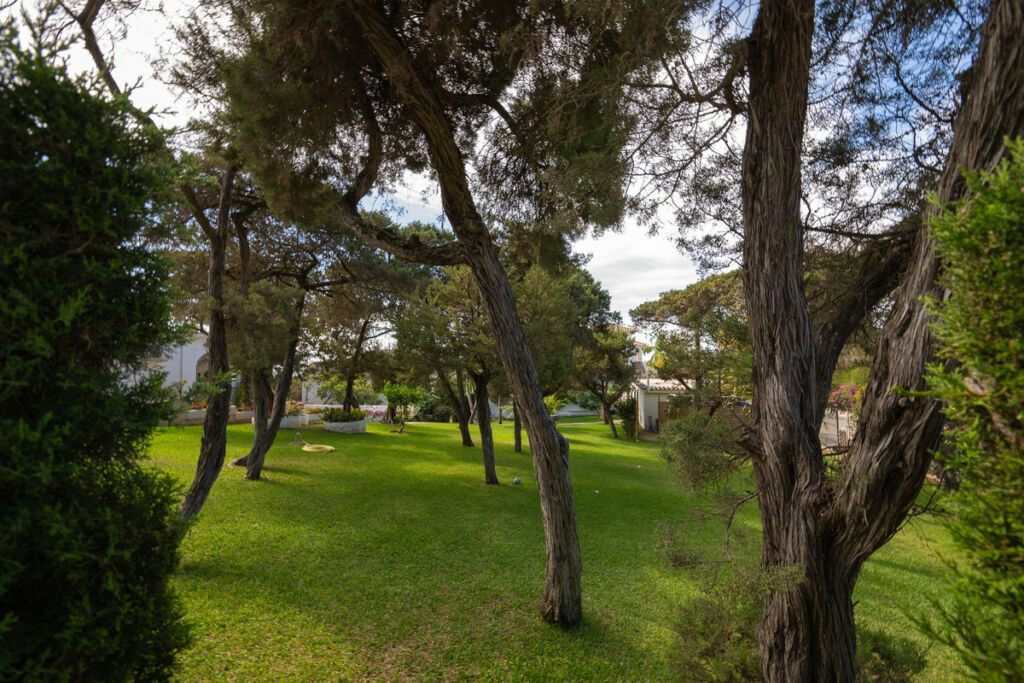 Detached Villa Marbesa Málaga - image 29