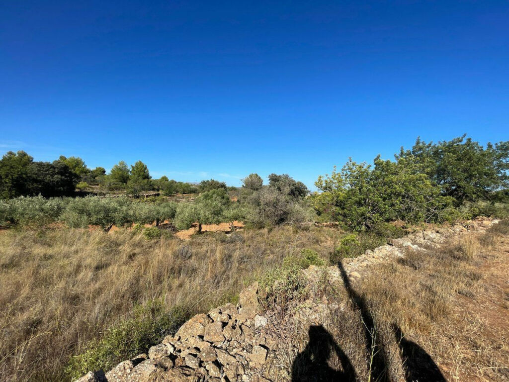 Residential Plot Benissa Alicante - image 29