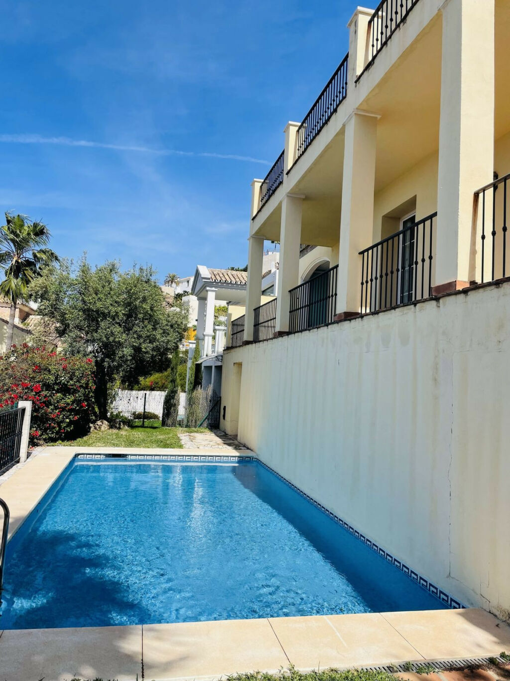 Detached Villa Istán Málaga - image 3