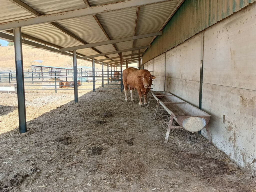 Farm Gaucín Málaga - image 3
