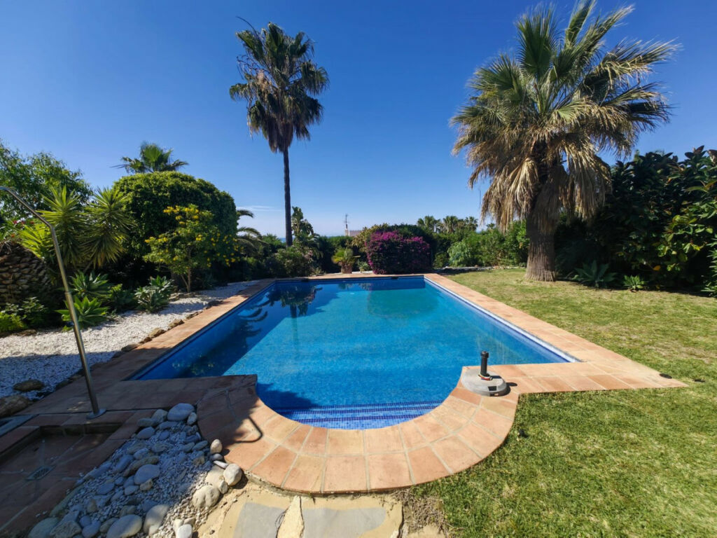 Detached Villa Estepona Málaga - image 3
