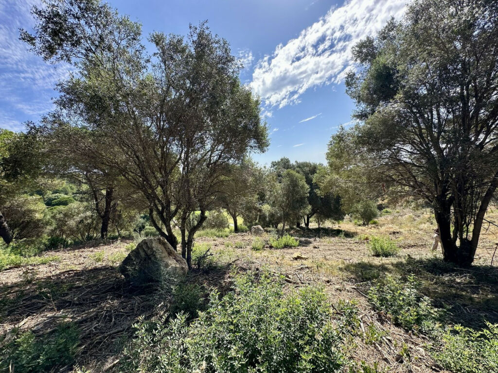 Land Sotogrande Cádiz - image 3