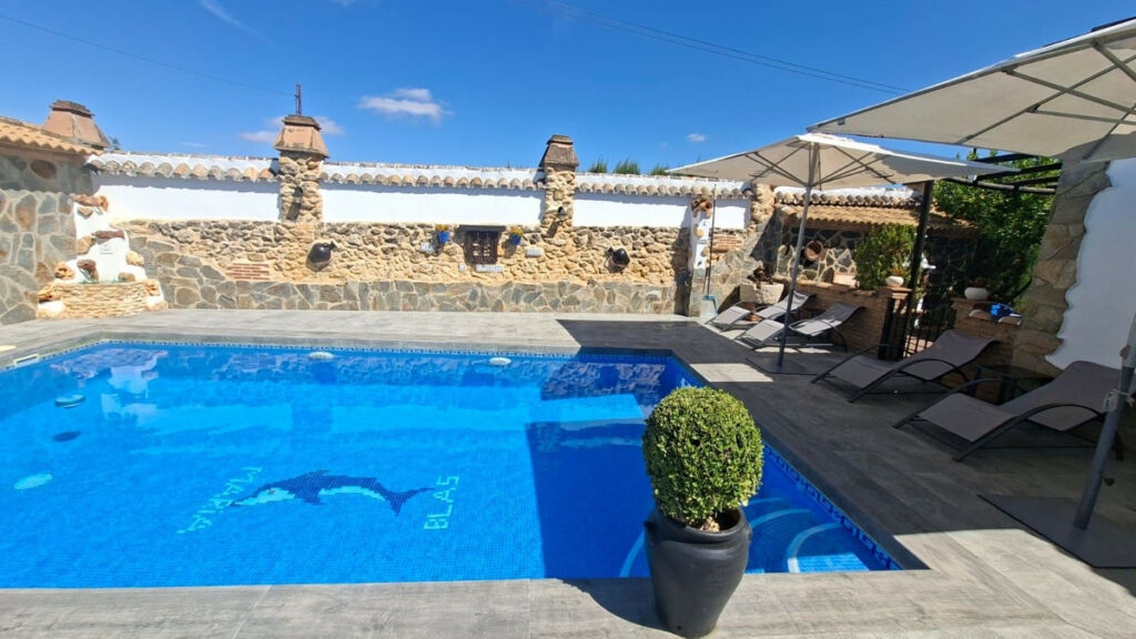 Detached Villa Arriate Málaga - image 3