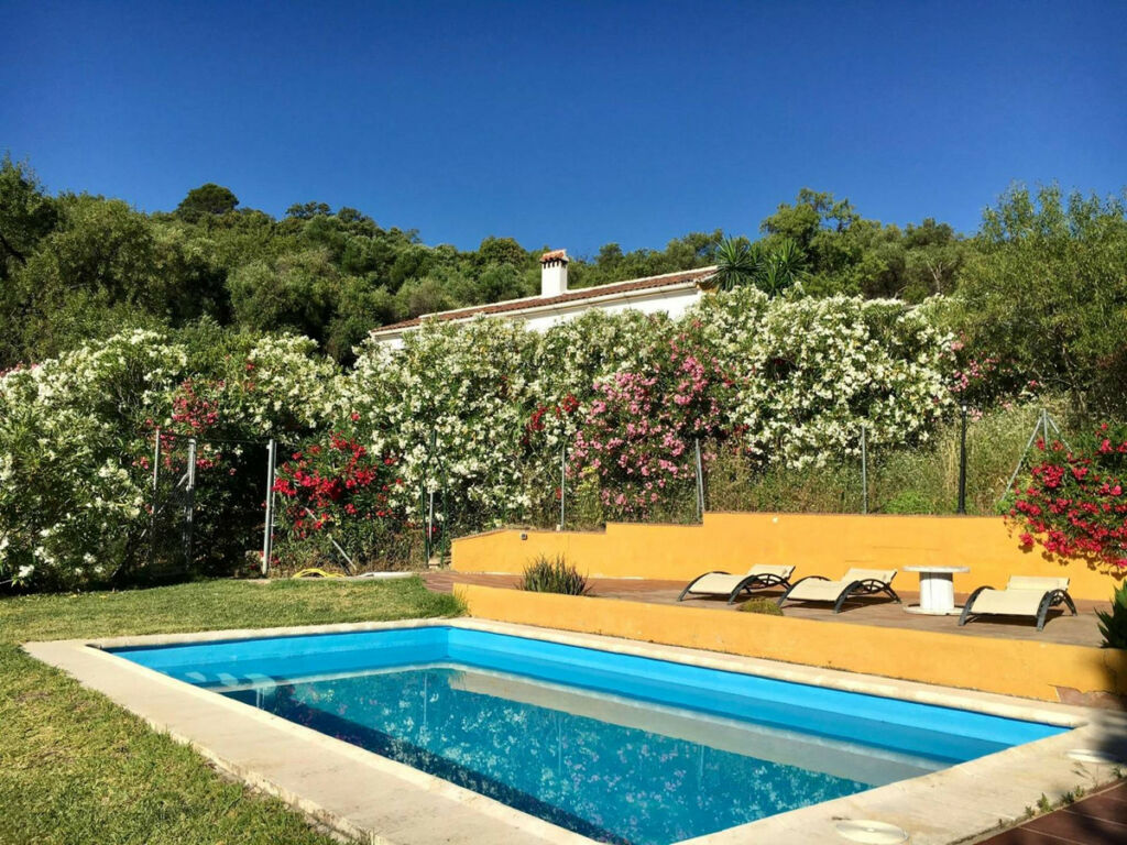 Finca - Cortijo Gaucín Málaga - image 3