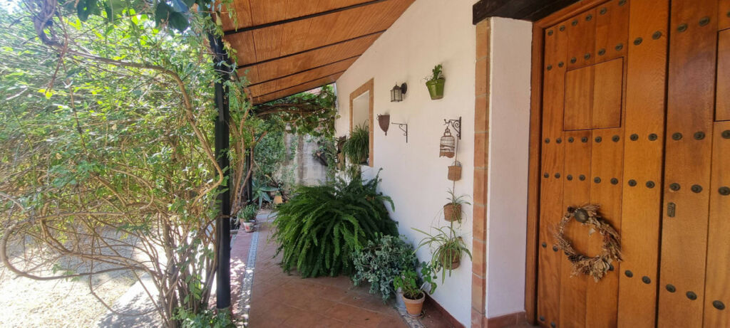Detached Villa Cortes de la Frontera Málaga - image 3