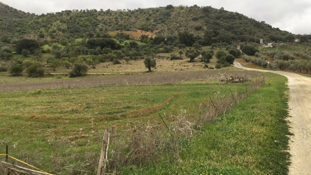 Land Coín Málaga - image 3