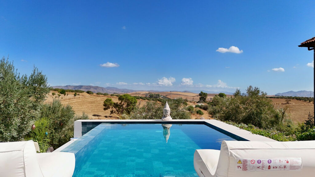 Detached Villa Coín Málaga - image 3
