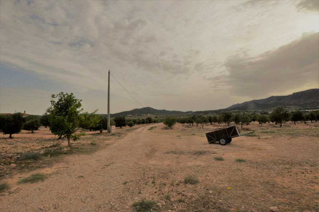 Finca - Cortijo Salinas Alicante - image 3