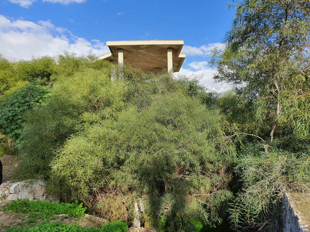 Residential Plot Estepona Málaga - image 3