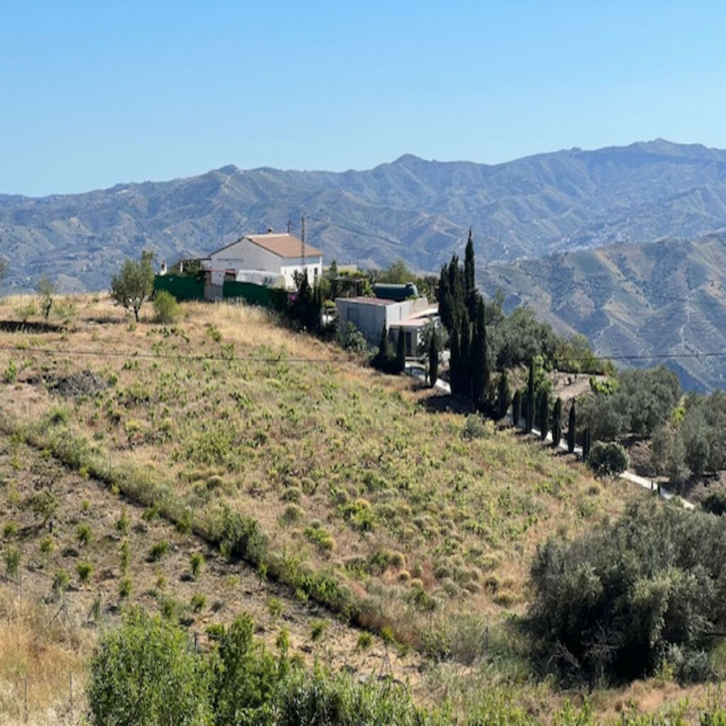 Finca - Cortijo Viñuela Málaga - image 3