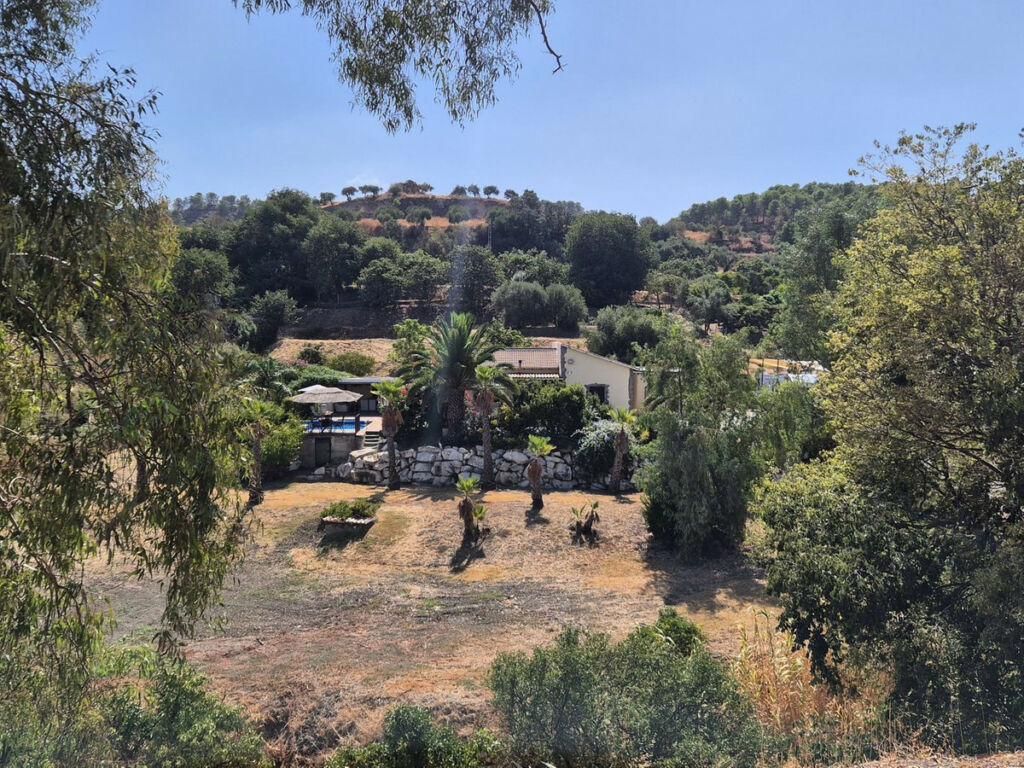 Detached Villa Coín Málaga - image 3