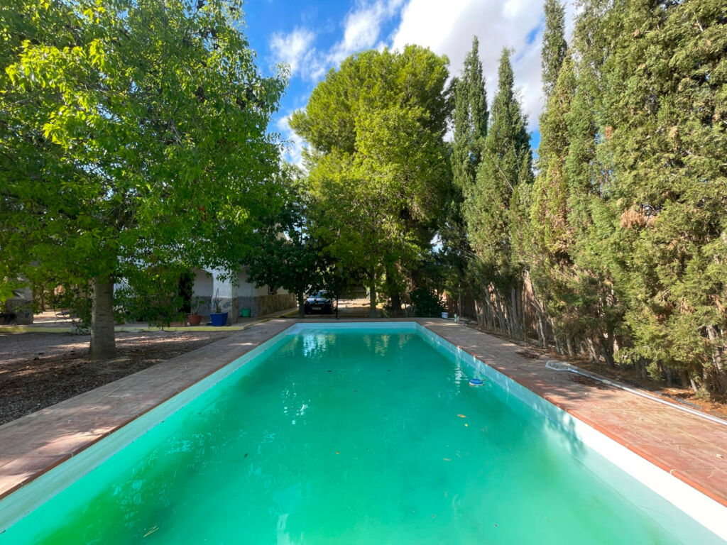 Finca - Cortijo Albatera Alicante - image 3