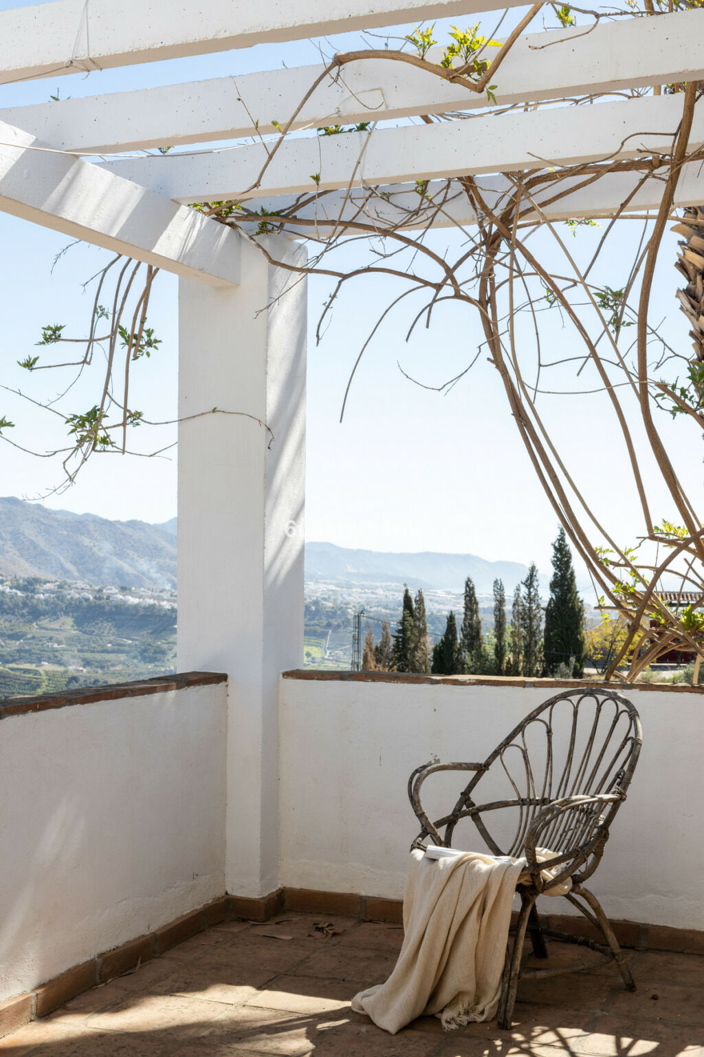 Detached Villa Torrox Málaga - image 30