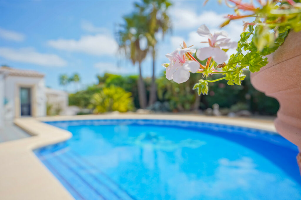 Detached Villa Javea Alicante - image 30