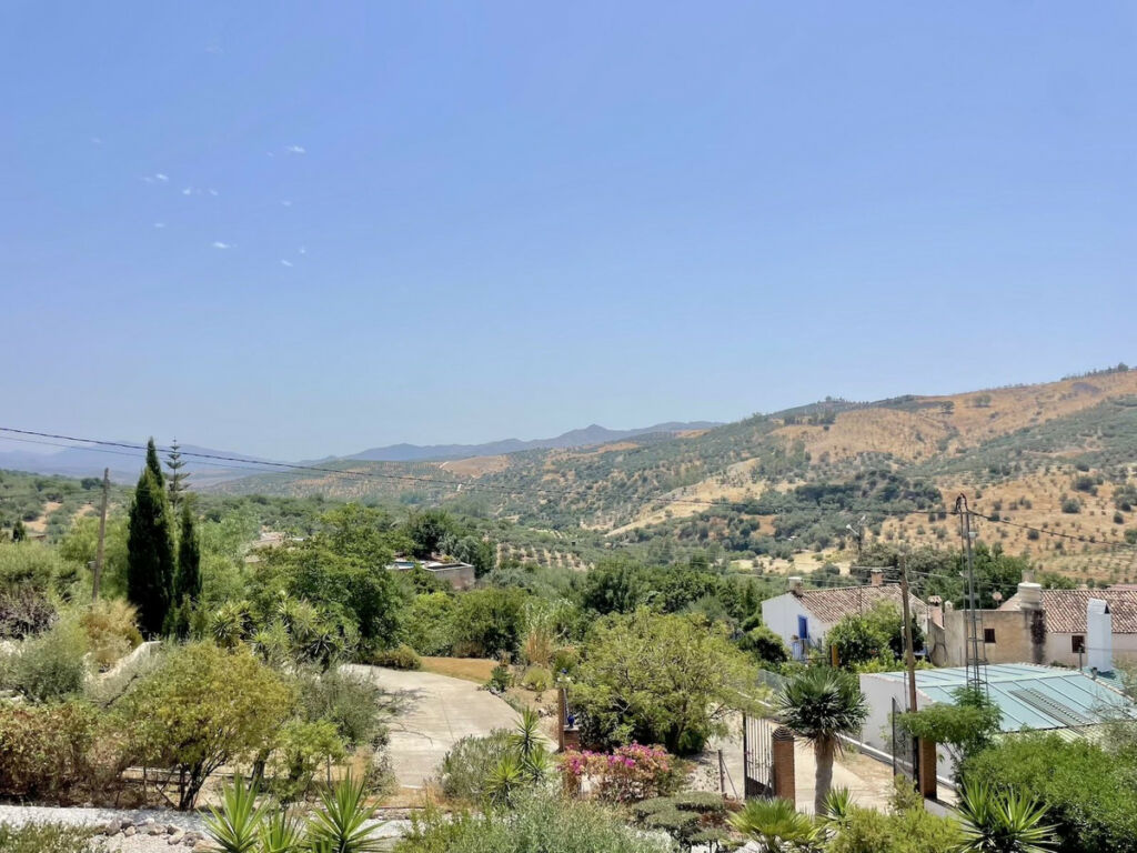 Detached Villa Periana Málaga - image 30