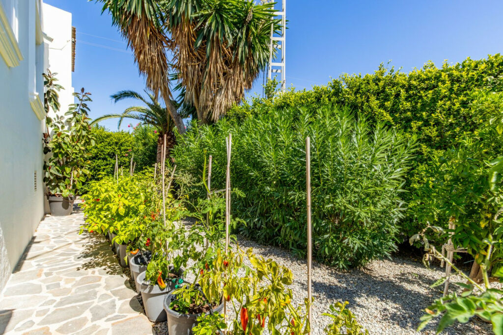 Detached Villa Benissa Alicante - image 30