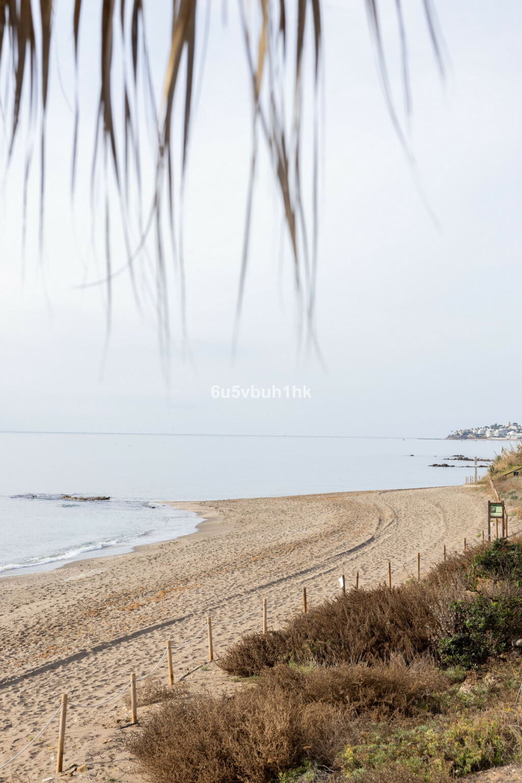 Detached Villa El Chaparral Málaga - image 30