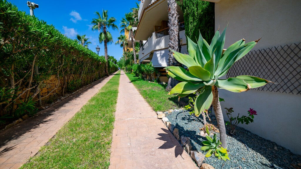 Middle Floor Apartment Punta Prima Alicante - image 31