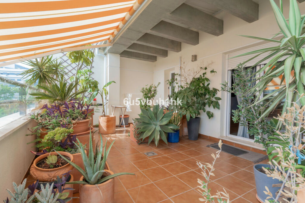 Penthouse El Pinillo Málaga - image 30
