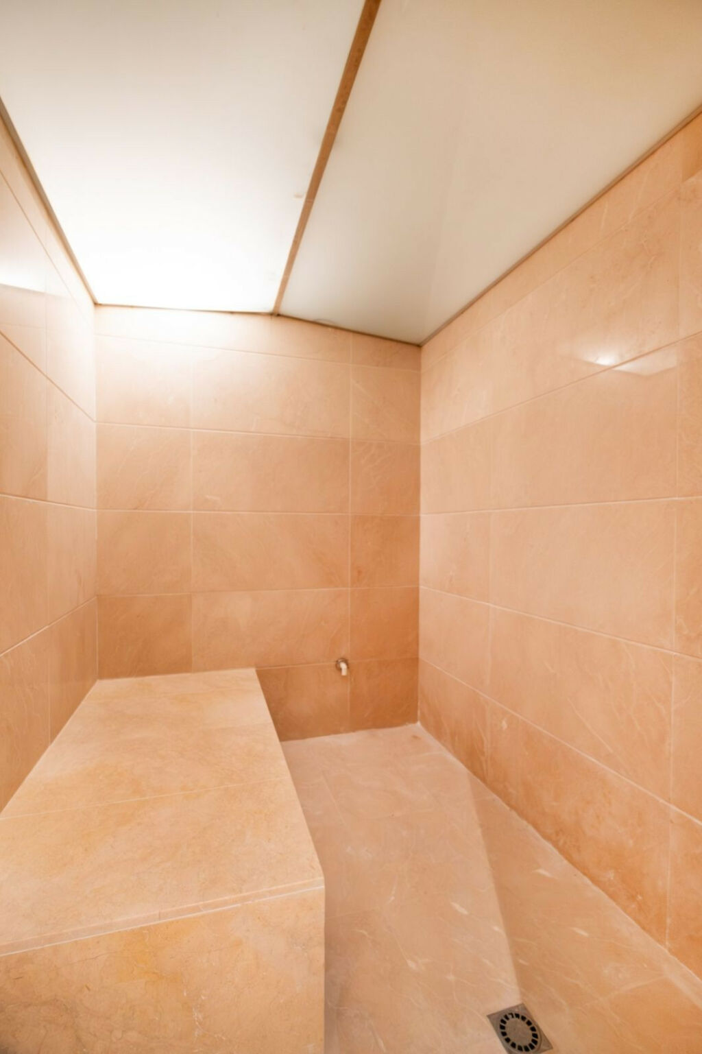 Detached Villa Elviria Málaga - image 31