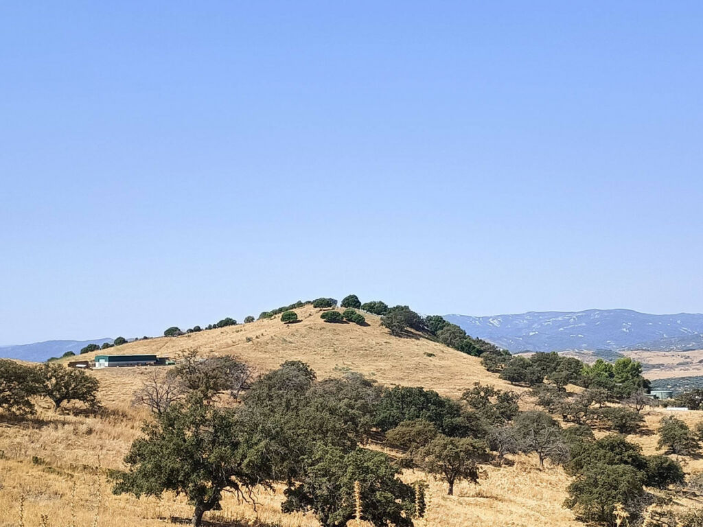 Farm Gaucín Málaga - image 26