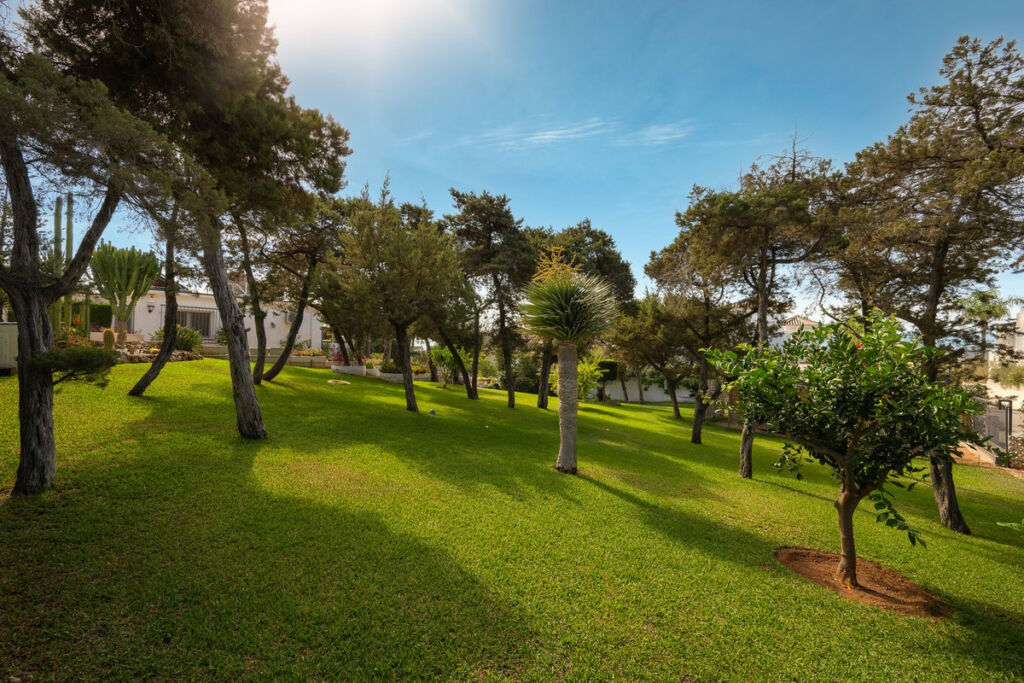 Detached Villa Marbesa Málaga - image 31