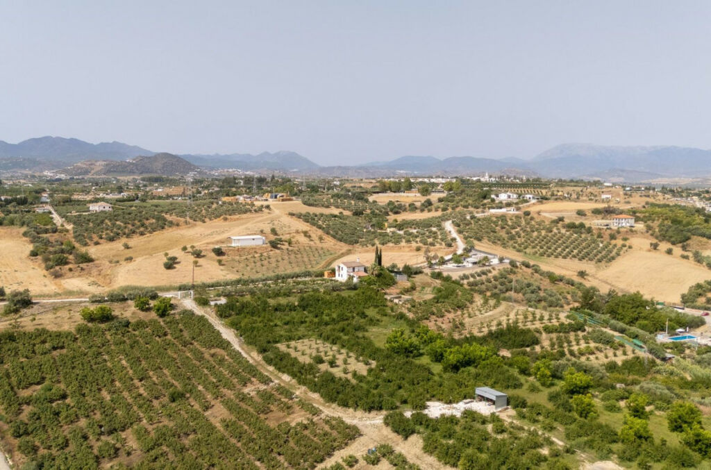 Detached Villa Cártama Málaga - image 31