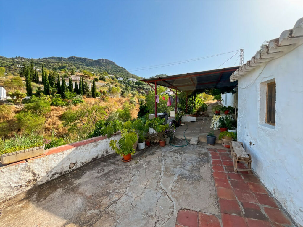 Finca - Cortijo Comares Málaga - image 31