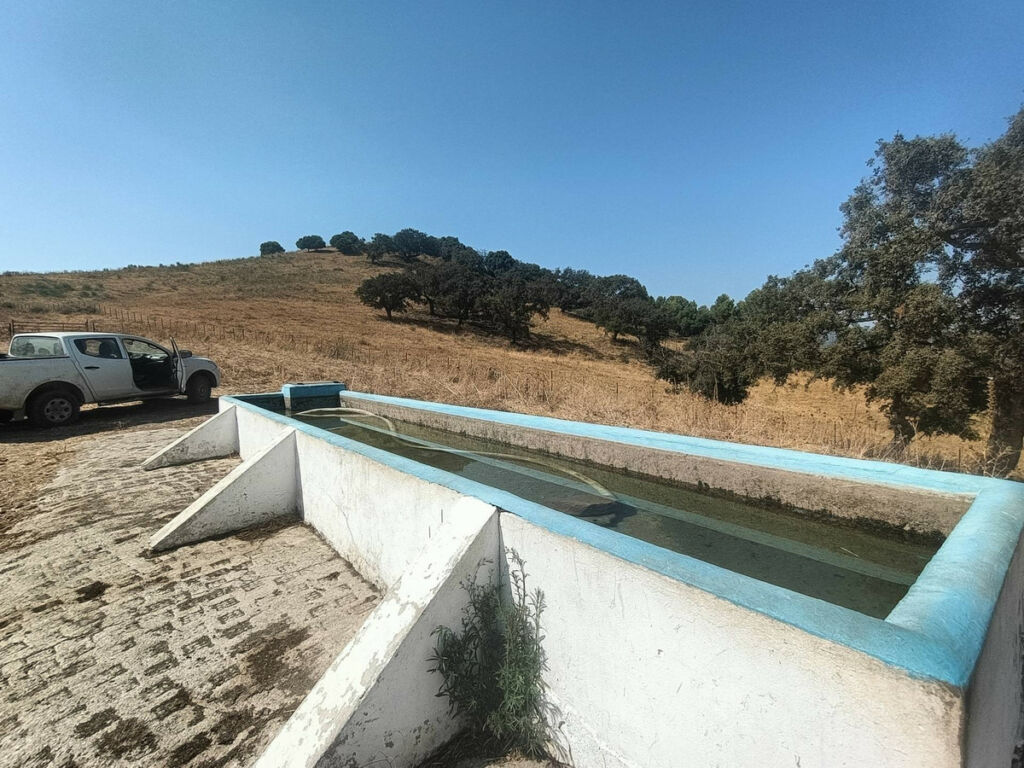 Farm Gaucín Málaga - image 27