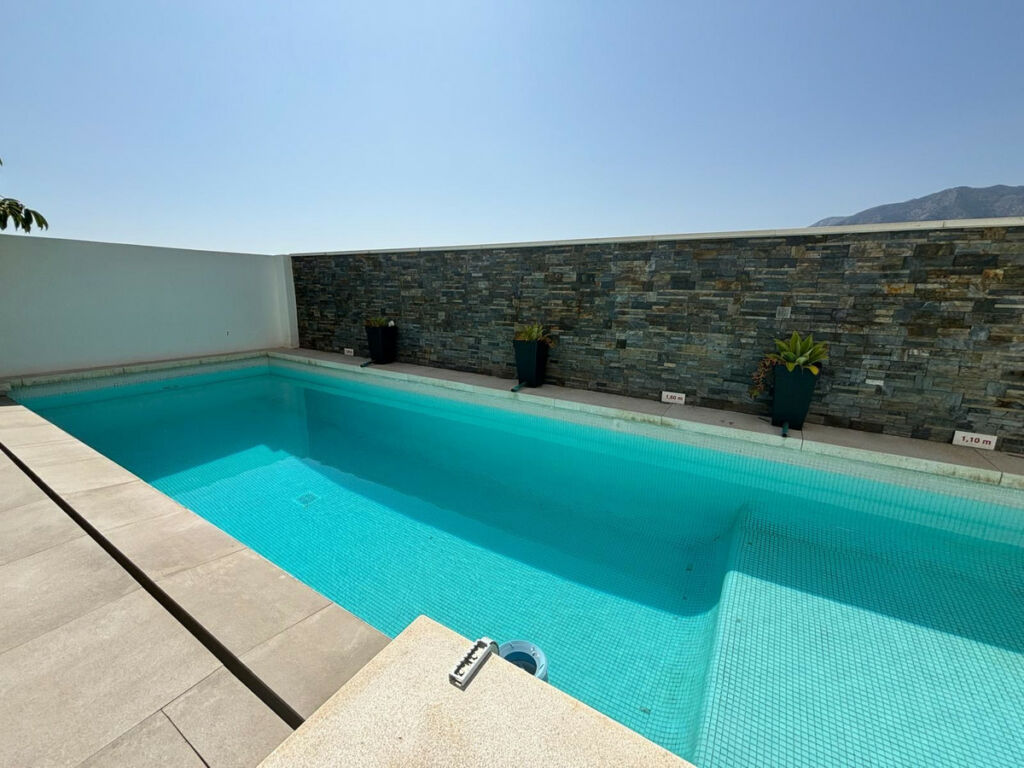 Detached Villa Los Pacos Málaga - image 32