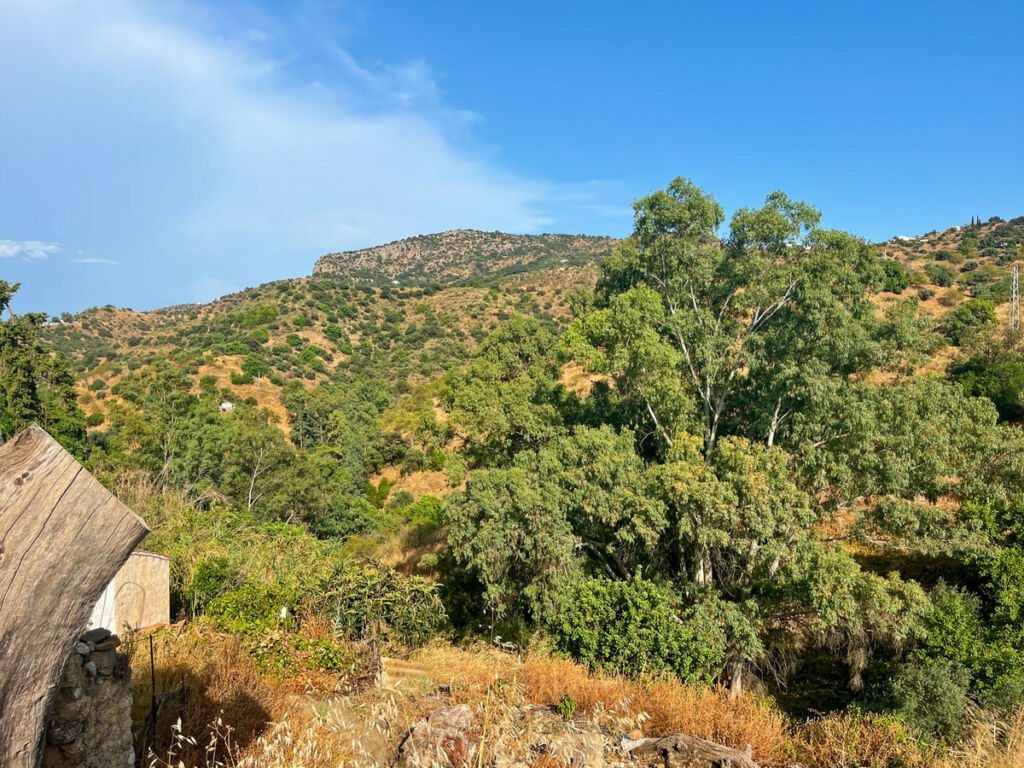 Finca - Cortijo Comares Málaga - image 33