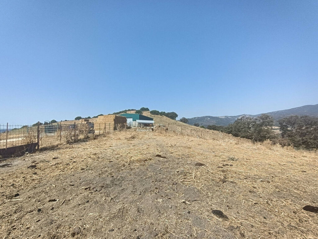 Farm Gaucín Málaga - image 28