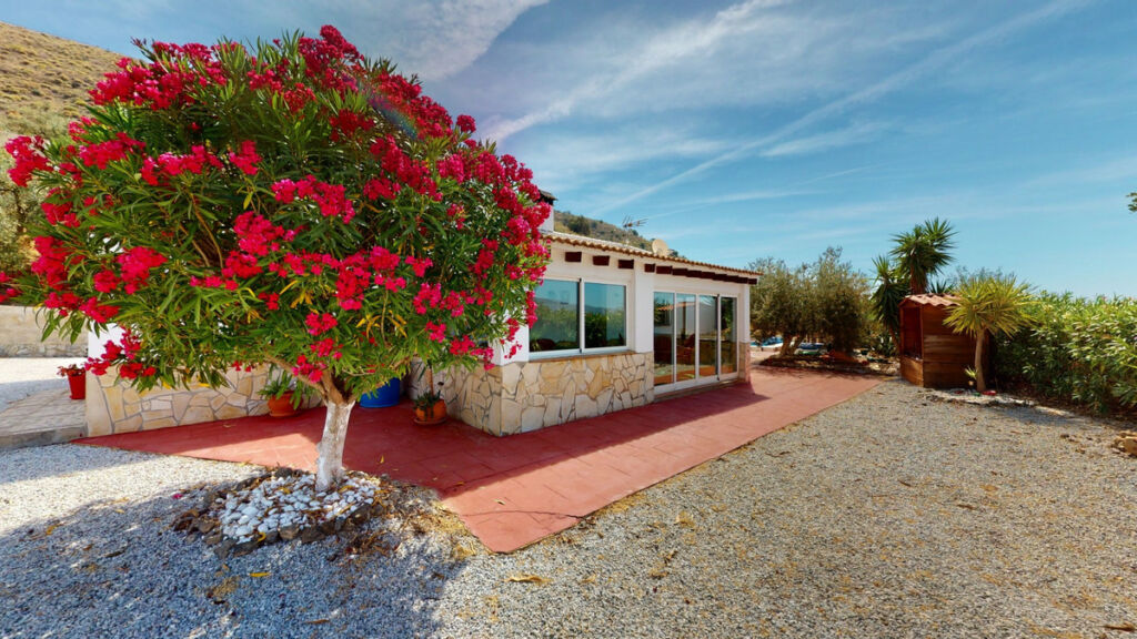 Detached Villa El Borge Málaga - image 33