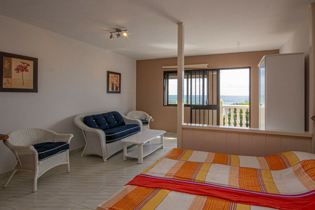 Detached Villa Estepona Málaga - image 33