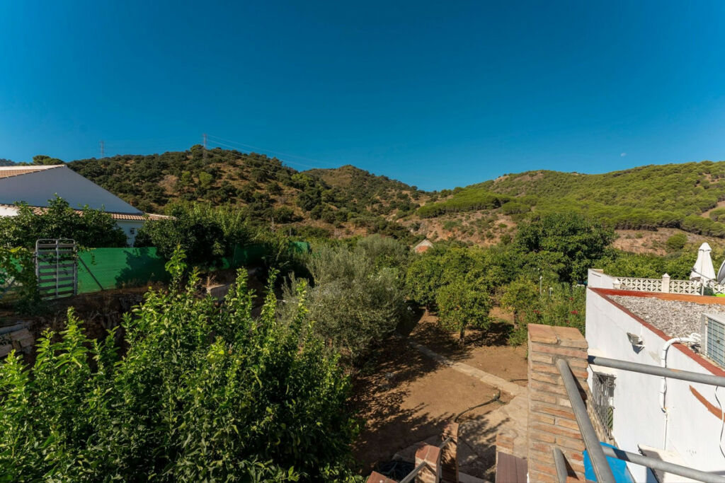 Finca - Cortijo Monda Málaga - image 33
