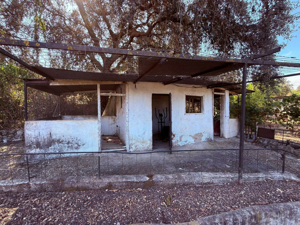 Detached Villa Coín Málaga - image 33