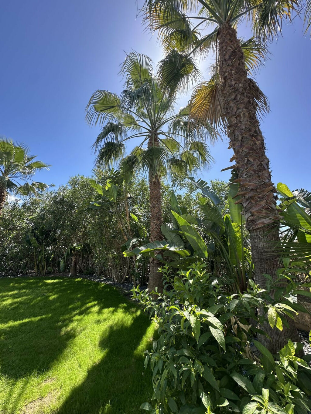 Detached Villa Benahavís Málaga - image 33